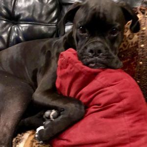 Meet your Posher, BRob